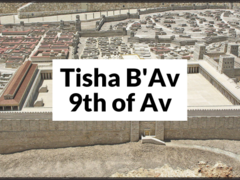 Banner Image for Tisha B'Av Learning & Break Fast
